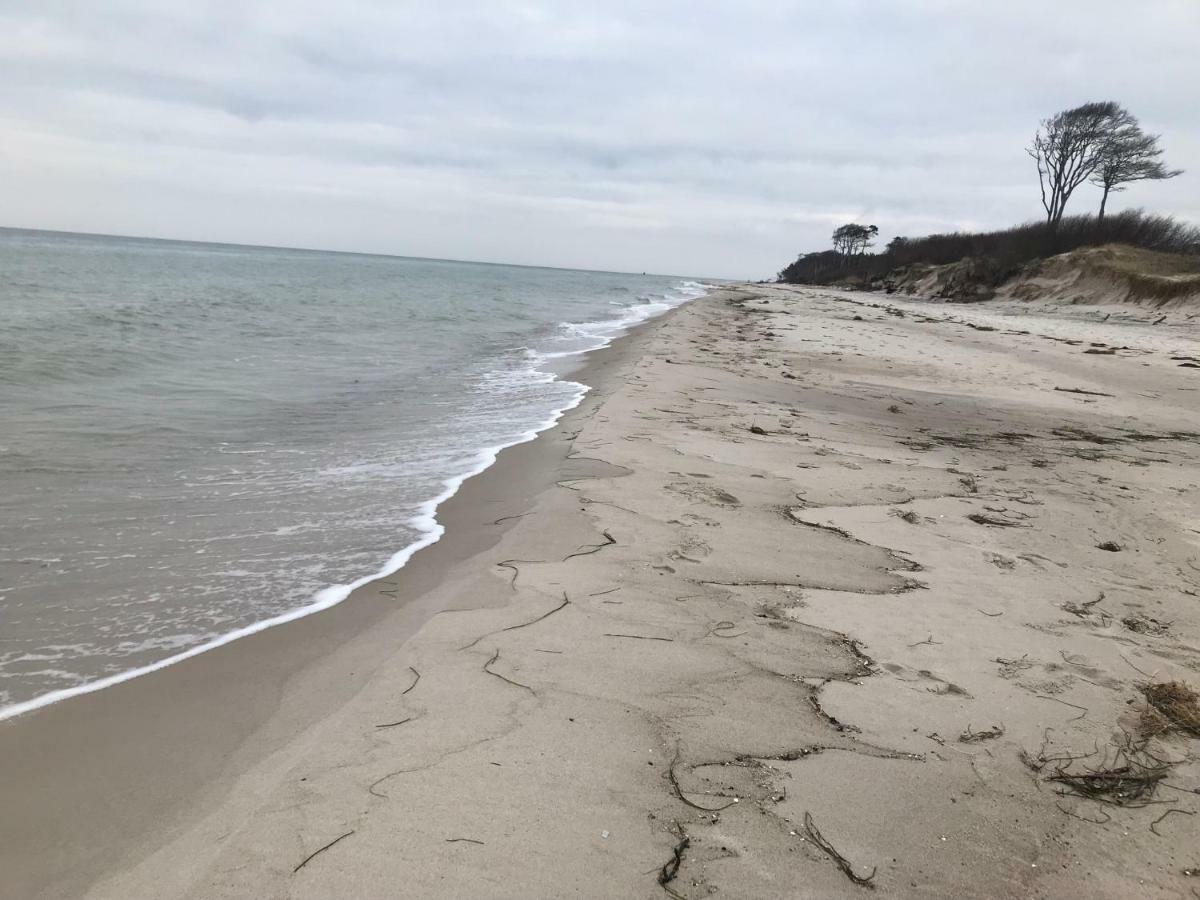 Zum Nordstrand Prerow Kültér fotó